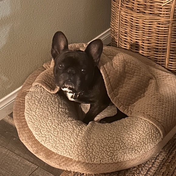 Meet your Posher, Sonia - Picture 1 of 2